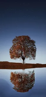 A solitary tree reflected in a lake under a starry night sky.