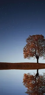 Solitary tree reflecting in water under a starry night sky.