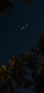 A starry night sky with a shooting star and silhouetted trees.