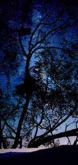 Tree silhouette with starry night sky background in dark blue hues.