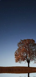 Solitary tree under a star-filled night sky reflecting off calm water.