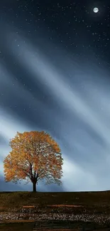 Lone tree under a starry night sky wallpaper.