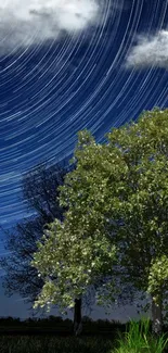 Vibrant tree with swirling stars against a night sky.