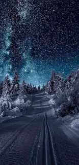 Starry night sky over snow-laden forest path in winter.