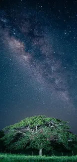 Lone tree under a starry night sky with prominent Milky Way.