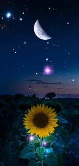 Starry night with a crescent moon and sunflower.