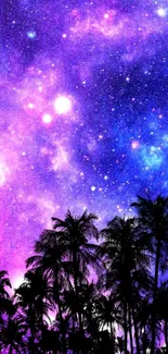 Purple galaxy sky with palm tree silhouette