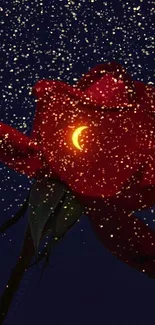 Mystical red rose with moons and stars on a dark blue night sky background.