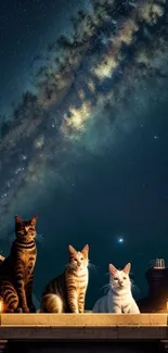 Three cats sit under a starry night sky with a galaxy backdrop.