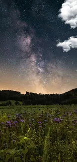 Starry sky over a field with blossoming flowers.