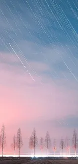 Pastel sky with star trails and silhouetted trees.