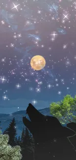 Mystical night sky with moon and howling wolf silhouette.