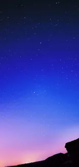 Starry twilight sky with a blue gradient and silhouetted horizon.