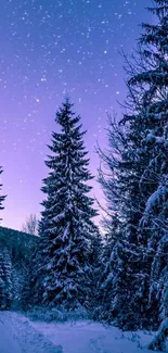 A serene winter forest under a starry purple sky at night.