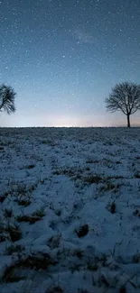 Serene starry sky over snowy field with bare winter trees.