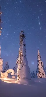 Snowy forest under a starry night sky with illuminated trees.