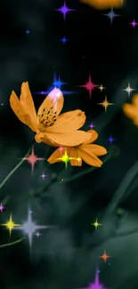 Yellow flowers with multicolored stars on dark green background.