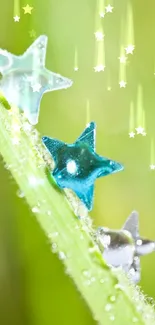 Three star-shaped beads on dewy grass with a green background.