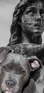 Dog sitting in front of a stone statue in grayscale.