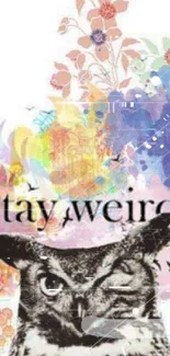 Artistic owl with 'Stay Weird' text and colorful background.