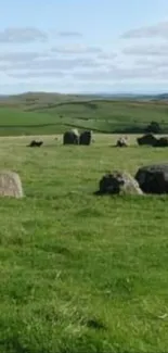 Calming view of Swinside Stone Circle in Cumbria's green landscape.