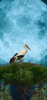 Stork on tree with a glowing full moon background, surrounded by a dark forest.