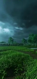 A stormy green meadow with dramatic clouds overhead.