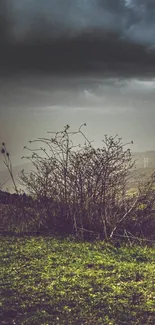 Mobile wallpaper featuring a stormy hillside landscape.