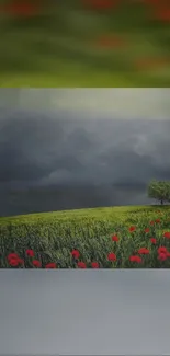 A vibrant field of red poppies under a dramatic stormy sky with a lone tree.