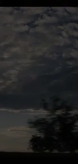 Stormy night sky with dark clouds and silhouette trees.