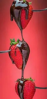 Mobile wallpaper of strawberries drizzled with chocolate on a red background.