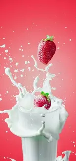 Strawberries splashing into milk with a pinkish red background.