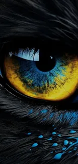 Close-up of a striking blue eye with yellow and black accents.