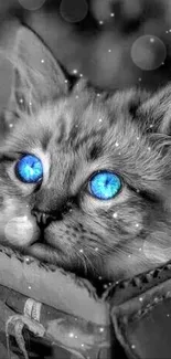 Vivid blue-eyed cat in grayscale wallpaper for mobile screens.