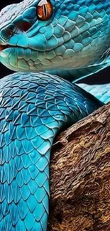 A vibrant blue snake coiled on a log with intricate scales.