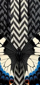 Butterfly with monochrome abstract background design.