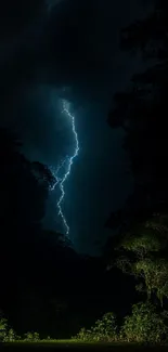 Dramatic lightning strikes through a dark forest, illuminating the night.