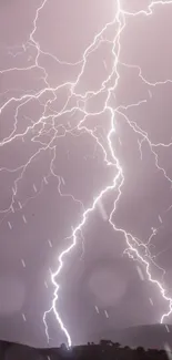 Dynamic lightning strikes against a night sky.