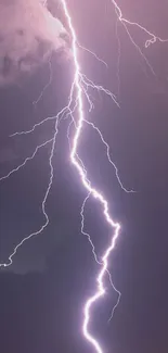 Striking lightning bolt against a violet night sky.