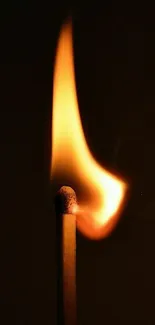 A bright match flame against a dark black background in striking detail.