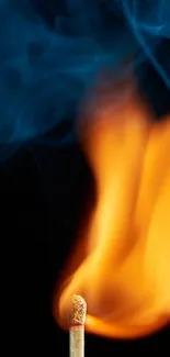 Vivid match flame with orange and blue colors on a black background.