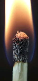 Close-up image of a lit match with an orange flame.