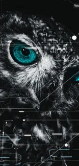 Close-up of owl with turquoise eyes in monochrome wallpaper.