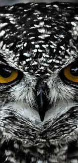 Close-up of an owl with vibrant yellow eyes and intricate feather details.