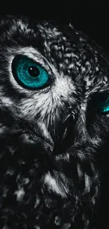 Owl with striking blue eyes against a dark background.