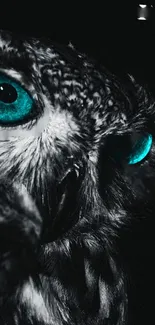 Mysterious owl with teal eyes close-up wallpaper.