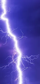 Purple lightning bolt striking during a dark stormy night.