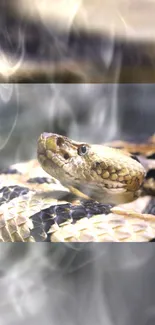 Close-up image of a rattlesnake with detailed scales and smoky background.