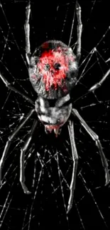 Red and black spider on a broken web, vivid phone wallpaper.