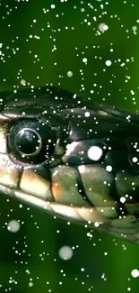 Close-up of a snake with snow-like speckles on a green background.